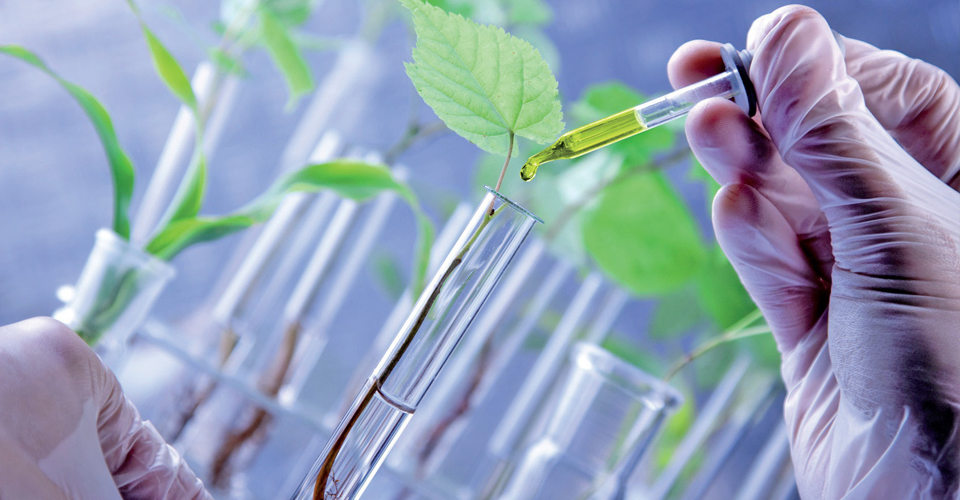 Biotechnology Research and Development | Biotech Kerala - UniBiosys
